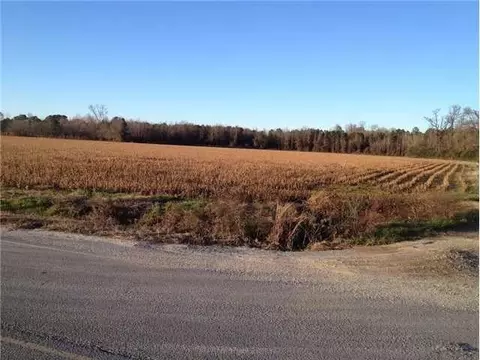 189 Bear Rd, Benson, NC 27504 photo 3