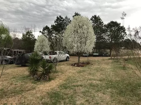 785 Barnes Lake Rd, Middlesex, NC 27557 photo 7