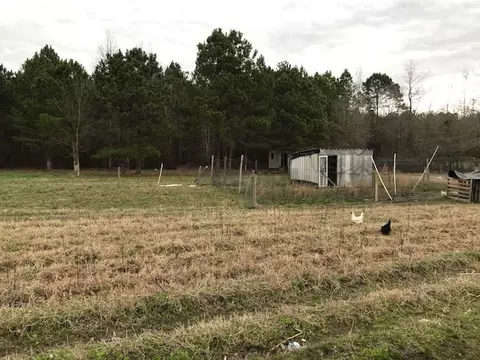 785 Barnes Lake Rd, Middlesex, NC 27557 photo 9