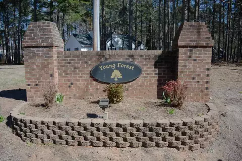 716 Young Forest Dr, Wake Forest, NC 27587 photo 22