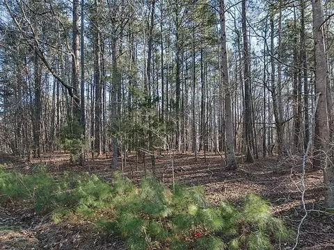 12 Pascal Way, Chapel Hill, NC 27705 photo 7