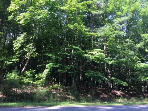 12 Pascal Way, Chapel Hill, NC 27705 photo 5