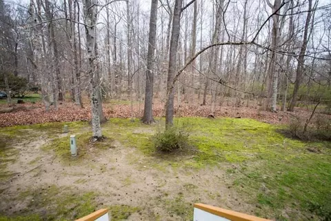 71 Willow Bridge Dr, Durham, NC 27707 photo 19