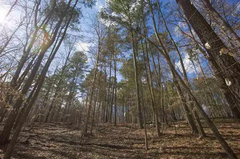 5304 Kemp Rd, Durham, NC photo 22