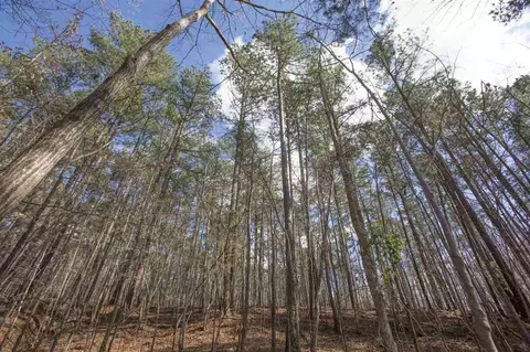 5304 Kemp Rd, Durham, NC photo 18