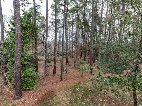110 Peckskill Ct, Cary, NC 27519 photo 24