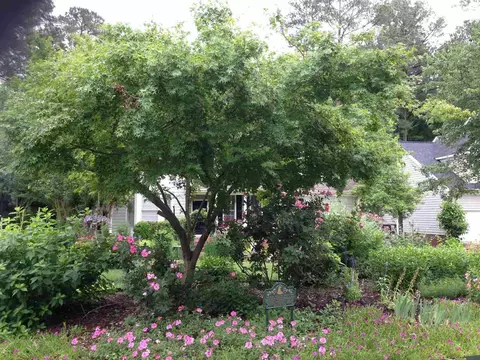 206 Firetree Ln, Cary, NC 27513 photo 24