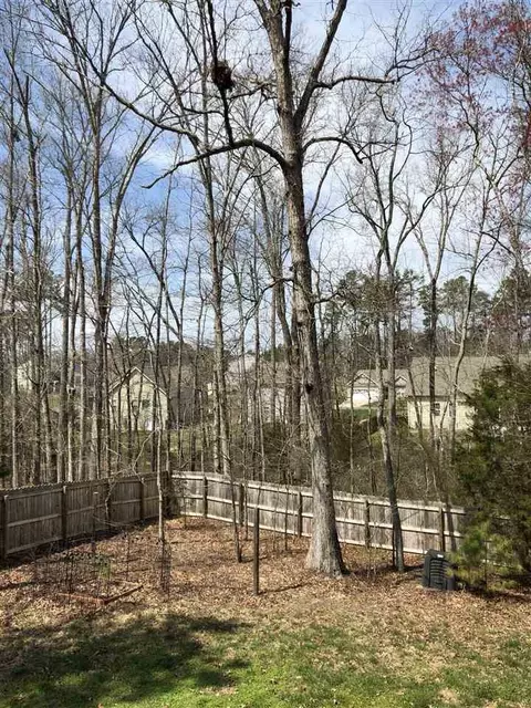 203 Richmond Run, Stem, NC 27581 photo 9
