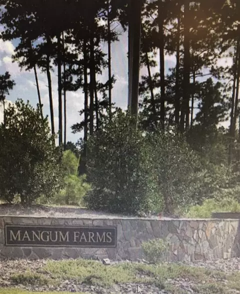 203 Richmond Run, Stem, NC 27581 photo 3