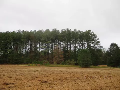 3711 Halcyon Pl, Stem, NC 27581 photo 4