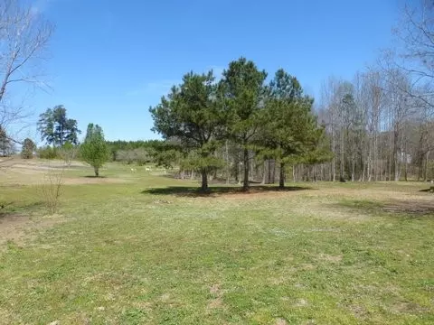 205 Topeka Ln, Willow Spring, NC 27592 photo 19
