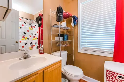 206 Gumdrop Path, Apex, NC 27502 photo 11