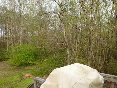 163 E Silverado Ct, Kenly, NC 27542 photo 24