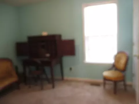 142 Rosa Cir, Willow Spring, NC 27592 photo 19