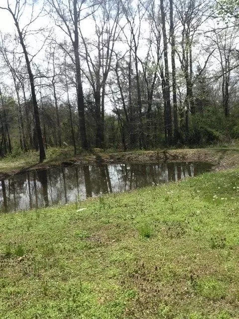 99 Bernard Purvis Rd, Bennett, NC 27208 photo 3