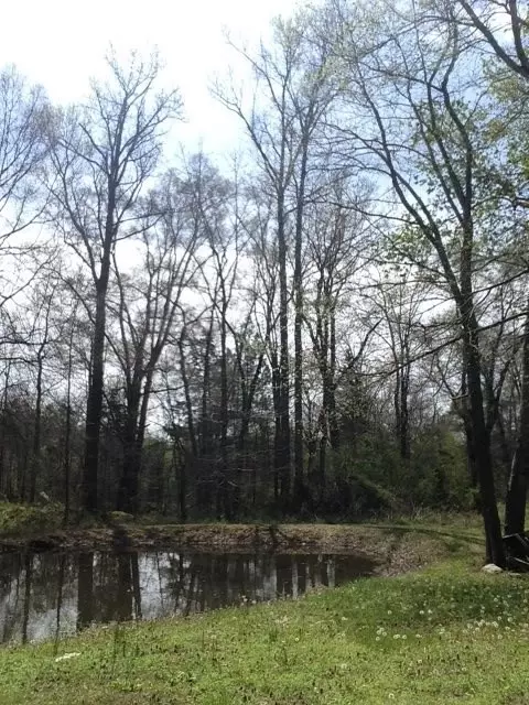99 Bernard Purvis Rd, Bennett, NC 27208 photo 4