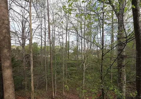 532 Whistable Ave, Wake Forest, NC 27587 photo 22