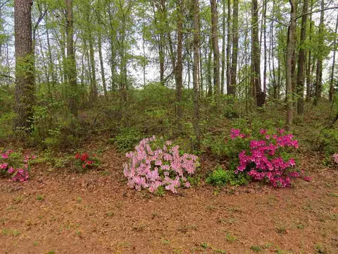 40 Acorn Ct, Smithfield, NC 27577 photo 25