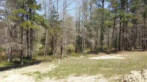 2920 Maple Pointe Dr, Wendell, NC 27591 photo 18