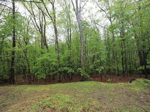 5625 Pine Dr, Raleigh, NC 27606 photo 21