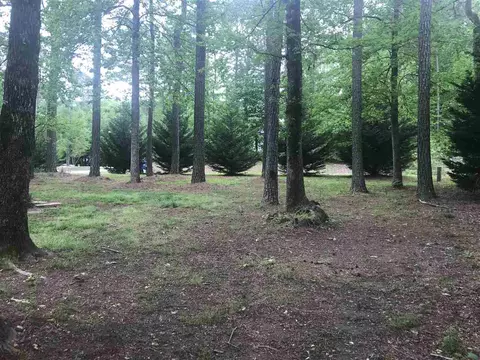 1534 Middle Ridge Dr, Willow Spring, NC 27592 photo 10