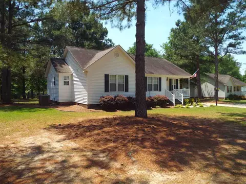 121 Pebblestone Ct, Willow Spring, NC 27592 photo 1