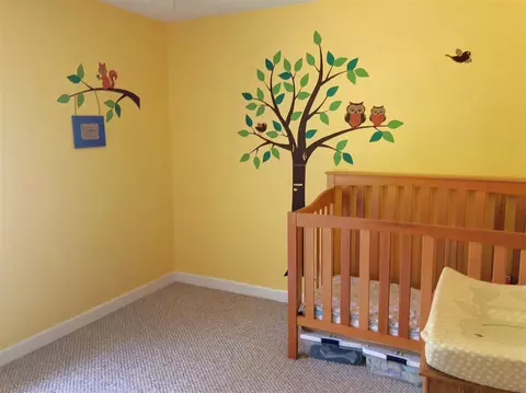 532 Young Forest Dr, Wake Forest, NC 27587 photo 21