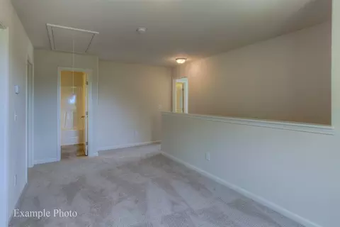 9927 Nugget Rd, Spring Hope, NC 27882 photo 13