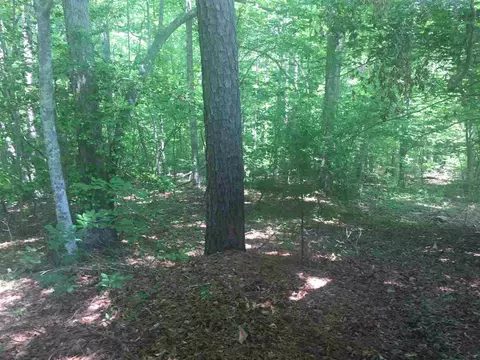 8204 Bud Morris Rd, Wake Forest, NC 27587 photo 7