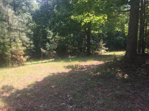 8204 Bud Morris Rd, Wake Forest, NC 27587 photo 15