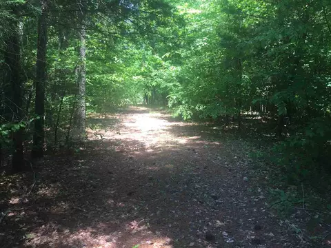8204 Bud Morris Rd, Wake Forest, NC 27587 photo 3