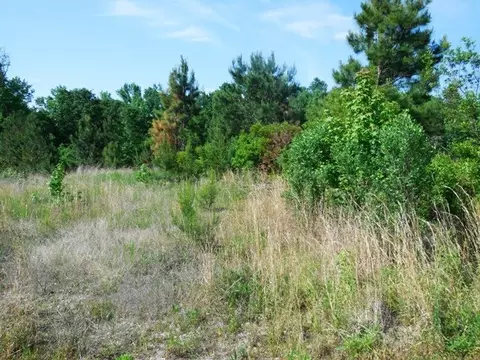 104 Character Ct, Bunnlevel, NC 28323 photo 1