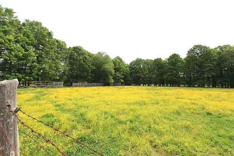 9808 Hampton Rd, Rougemont, NC 27572 photo 23