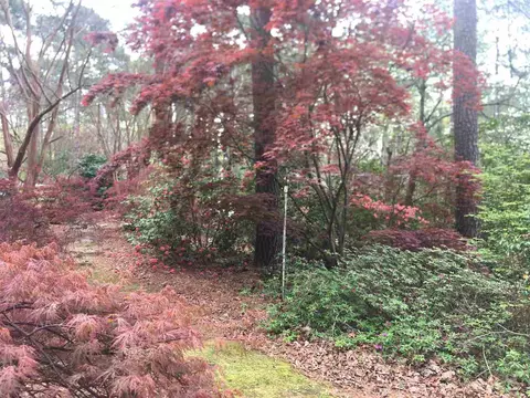 101 Pearson St, Apex, NC 27502 photo 3