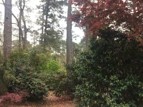 101 Pearson St, Apex, NC 27502 photo 24