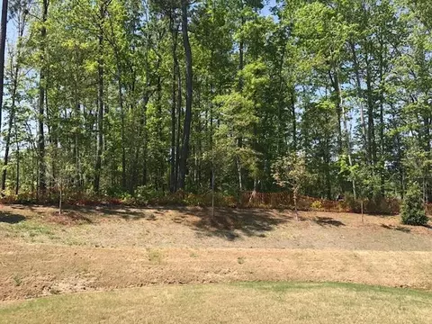 113 Snowdrop Ln, Durham, NC 27703 photo 22