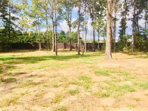 36 Wolf Den Dr, Garner, NC 27529 photo 21