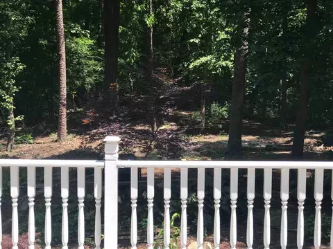 10 Big Bluff Pl, Durham, NC 27712 photo 24