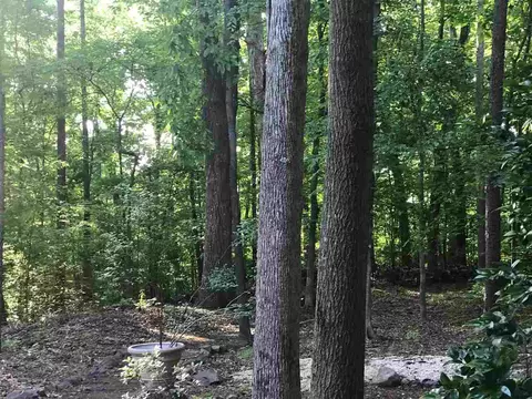 10 Big Bluff Pl, Durham, NC 27712 photo 16
