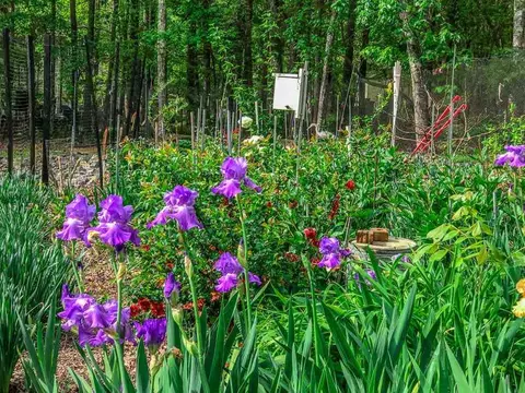 6407 Craig Rd, Durham, NC 27712 photo 6