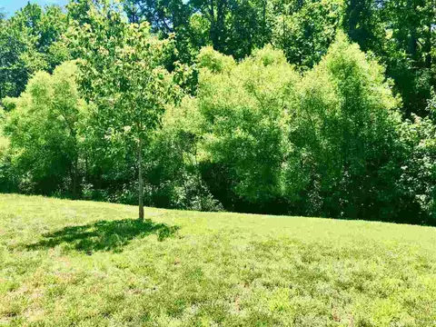 313 Trimble Ave, Elon, NC 27244 photo 21
