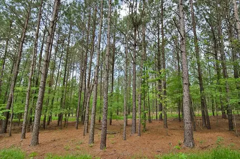 3100 Baptist Rd, Durham, NC 27703 photo 9