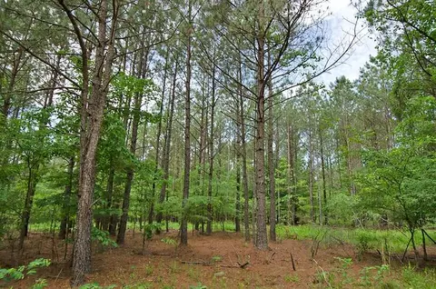 3100 Baptist Rd, Durham, NC 27703 photo 4