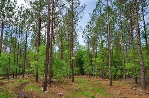 3100 Baptist Rd, Durham, NC 27703 photo 7