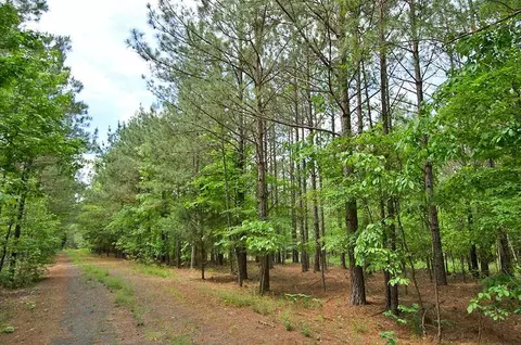 3100 Baptist Rd, Durham, NC 27703 photo 8