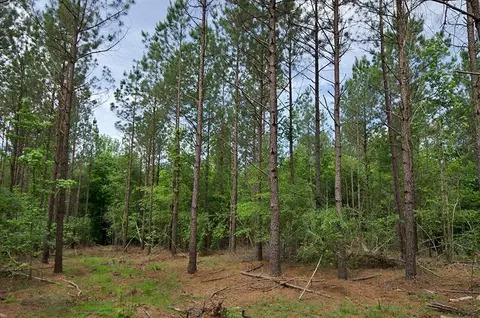 3100 Baptist Rd, Durham, NC 27703 photo 2