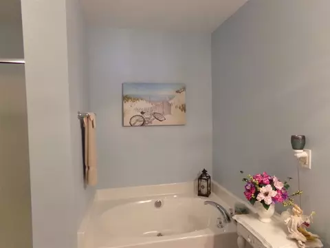 204 Patterdale Pl, Benson, NC 27504 photo 14