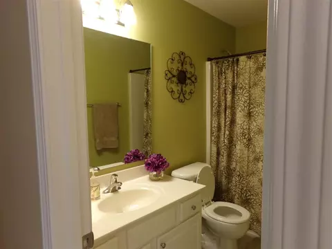 204 Patterdale Pl, Benson, NC 27504 photo 18