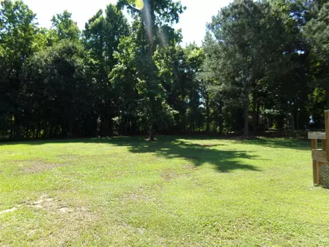 204 Patterdale Pl, Benson, NC 27504 photo 23