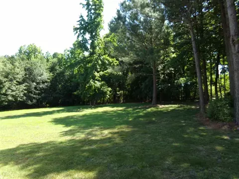 204 Patterdale Pl, Benson, NC 27504 photo 19